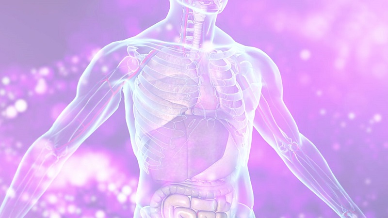 بهترین متخصص طب سنتی اصفهان | توصیه‌های کلی برای سم زدایی بدن و ریکاوری آن