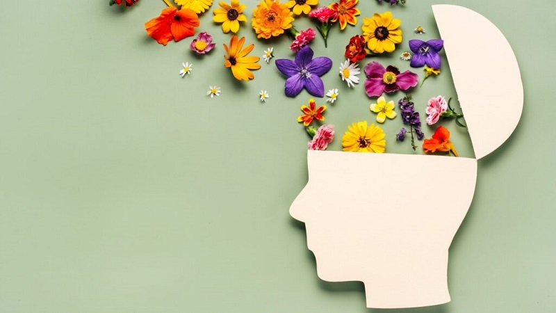 بهترین متخصص طب سنتی اصفهان | دکتر طب سنتی اصفهان | اصول شش گانه حفظ سلامتی از دیدگاه طب سنتی