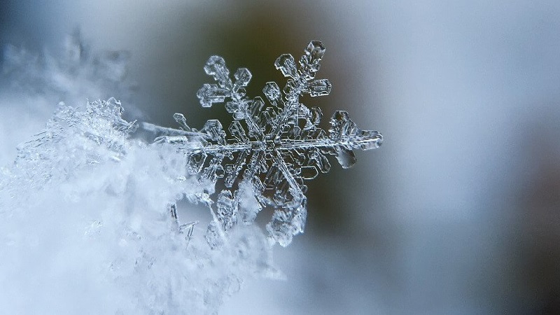 بهترین متخصص طب سنتی اصفهان |  مزاج فصل زمستان