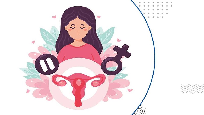 بهترین متخصص طب سنتی اصفهان | دکتر طب سنتی اصفهان | بیماری‌های زنان از دیدگاه مزاج شناسی در طب سنتی