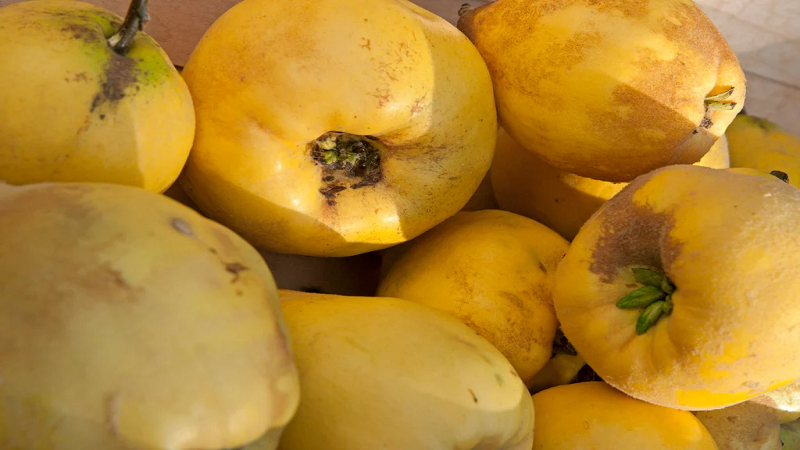 بهترین متخصص طب سنتی اصفهان | دکتر طب سنتی اصفهان | درمان خانگی با خواص درمانی میوه به از زبان متخصص طب سنتی ایرانی