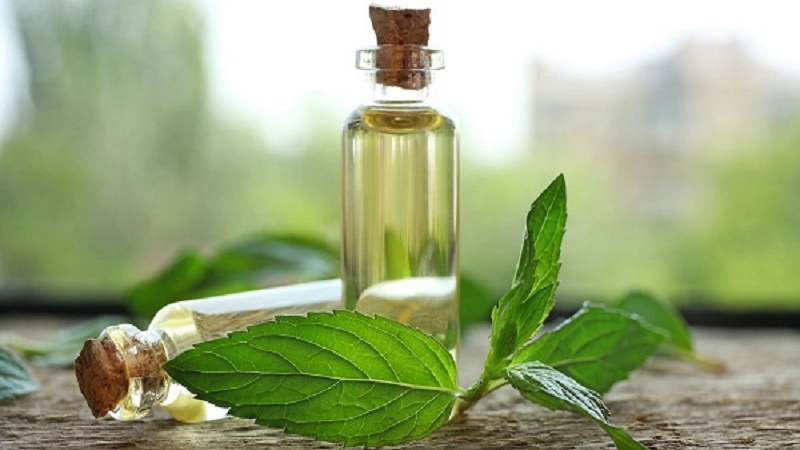 بهترین متخصص طب سنتی اصفهان | دکتر طب سنتی اصفهان |  اسانس روغنی گیاهی