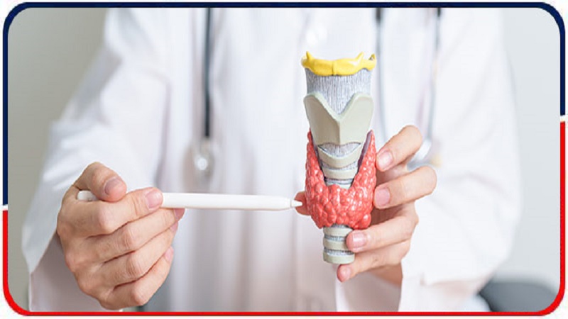 بهترین متخصص طب سنتی اصفهان | دکتر طب سنتی اصفهان | دکتر مجتبی معتمدی اختلالات تیروئید در طب سنتی ایرانی