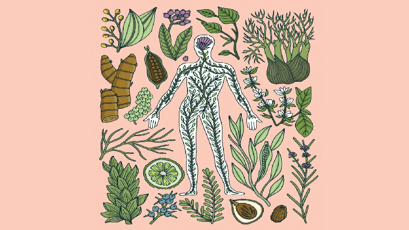 بهترین متخصص طب سنتی اصفهان | دکتر طب سنتی اصفهان | دکتر مجتبی معتمدی | با گیاهان دارویی آرامش ذهنی پیدا کنید ؟