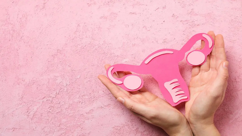 ویزیت طب سنتی در اصفهان | درمان بیماری با طب سنتی در اصفهان | دکتر مجتبی معتمدی | بهترین متخصص طب سنتی اصفهان | درمان فیبروم رحم با طب سنتی از گیاه درمانی تا تلفیق با طب مدرن