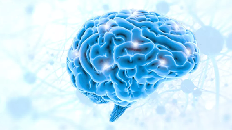 بهترین متخصص طب سنتی اصفهان | دکتر طب سنتی اصفهان | دکتر مجتبی معتمدی | دیدگاه طب سنتی علت بروز بیماری‌های مغز و اعصاب