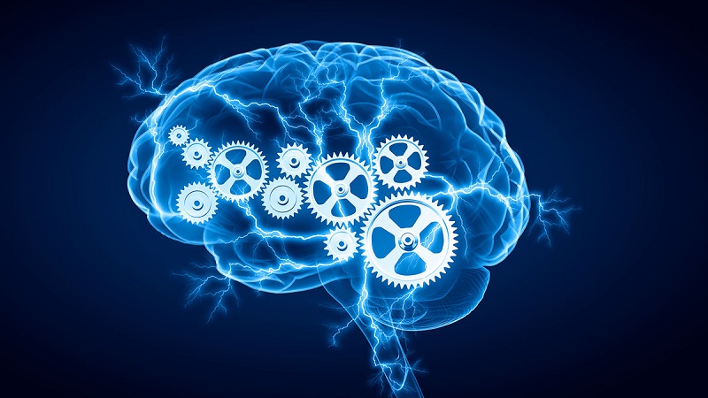 ویزیت طب سنتی در اصفهان | درمان بیماری با طب سنتی در اصفهان | دکتر مجتبی معتمدی | بهترین متخصص طب سنتی اصفهان | تقویت حافظه با گیاهان دارویی با تشخیص متخصص طب سنتی اصفهان