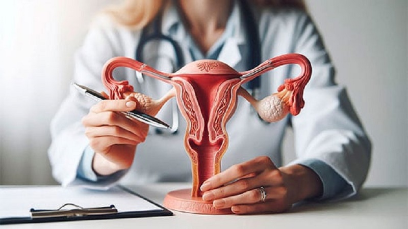 ویزیت طب سنتی در اصفهان | درمان بیماری با طب سنتی در اصفهان | دکتر مجتبی معتمدی | بهترین متخصص طب سنتی اصفهان | داروهای گیاهی موثر برای تقویت تخمدان در طب سنتی