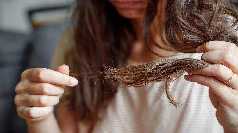 ویزیت طب سنتی در اصفهان | درمان بیماری با طب سنتی در اصفهان | دکتر مجتبی معتمدی | بهترین متخصص طب سنتی اصفهان | درمان خشکی پوست و مو در پاییز با کمک راهکارهای طب سنتی طب سنتی