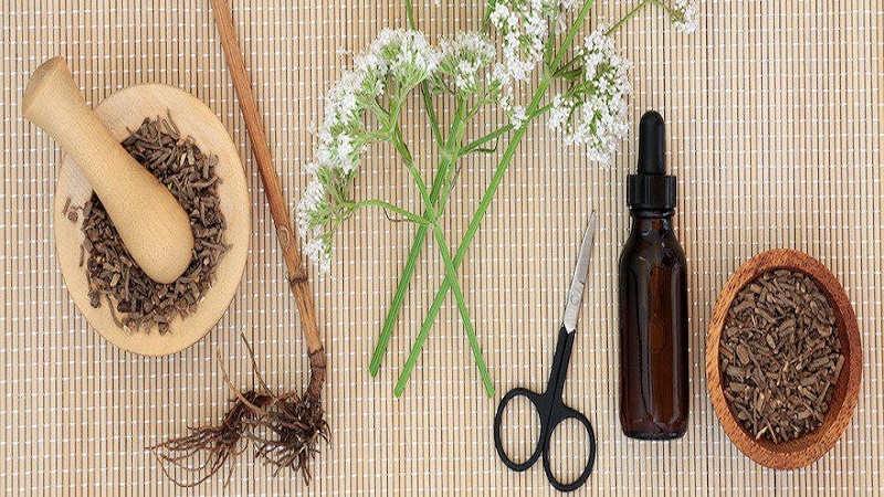 ویزیت طب سنتی در اصفهان | درمان بیماری با طب سنتی در اصفهان | دکتر مجتبی معتمدی | بهترین متخصص طب سنتی اصفهان |  سنبل‌الطیب داروی گیاهی شگفت‌انگیز