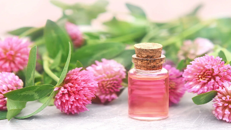 ویزیت طب سنتی در اصفهان | درمان بیماری با طب سنتی در اصفهان | دکتر مجتبی معتمدی | بهترین متخصص طب سنتی اصفهان | شبدر قرمز