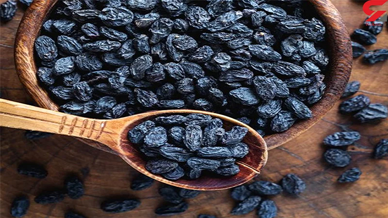 ویزیت طب سنتی در اصفهان | درمان بیماری با طب سنتی در اصفهان | دکتر مجتبی معتمدی | بهترین متخصص طب سنتی اصفهان |  مویز