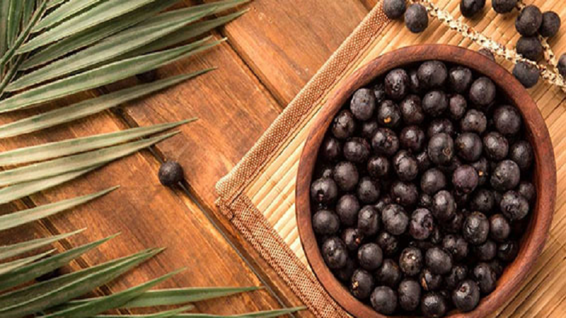 ویزیت طب سنتی در اصفهان | درمان بیماری با طب سنتی در اصفهان | دکتر مجتبی معتمدی | بهترین متخصص طب سنتی اصفهان |  نخل اره‌ای