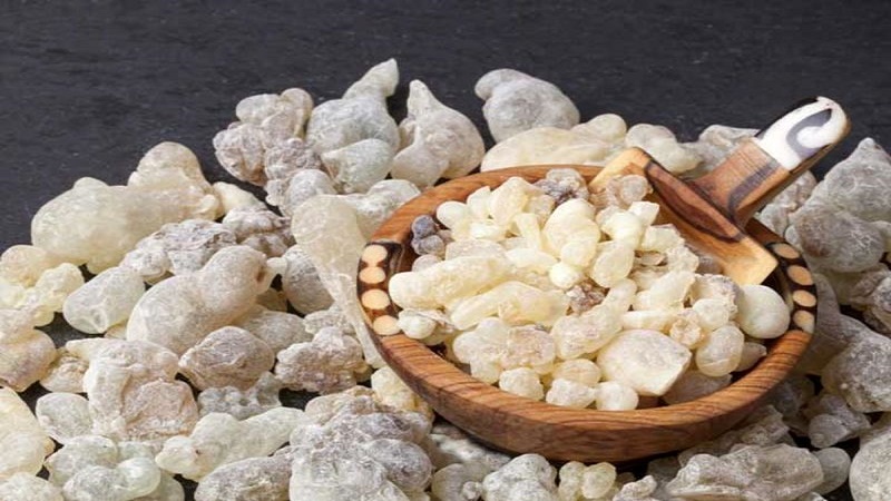 ویزیت طب سنتی در اصفهان | درمان بیماری با طب سنتی در اصفهان | دکتر مجتبی معتمدی | بهترین متخصص طب سنتی اصفهان | کندر