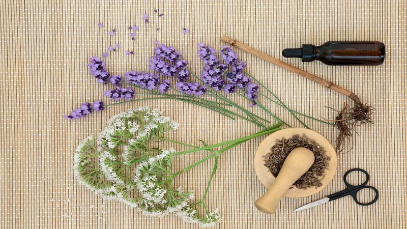 ویزیت طب سنتی در اصفهان | درمان بیماری با طب سنتی در اصفهان | دکتر مجتبی معتمدی | بهترین متخصص طب سنتی اصفهان | ۷ خاصیت شگفت‌انگیز سنبل‌الطیب در طب سنتی