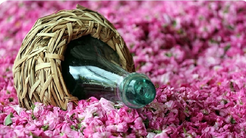 ویزیت طب سنتی در اصفهان | درمان بیماری با طب سنتی در اصفهان | دکتر مجتبی معتمدی | بهترین متخصص طب سنتی اصفهان | گلاب با خواص بی نظیر دارویی طب سنتی